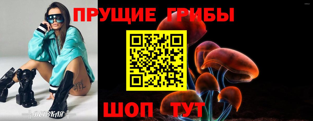 Звенигород  Галлюциногенные грибы MAGIC MUSHROOMS  Вход с VPN 