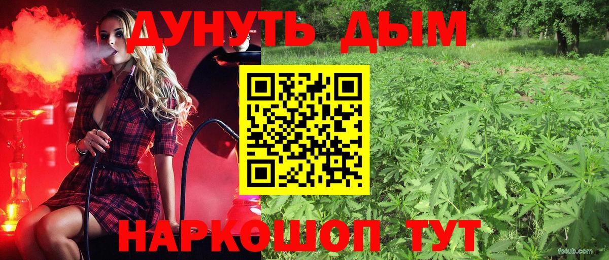 Бошки Шишки гибрид Звенигород
